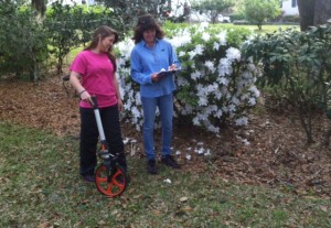 JEA provides a free sprinkler system consultation.  Representatives will check each zone for operation and timing, and will reset the system for you.  Photo: Lisa Grubba