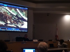 Joyce Tyson plays a home video to Administrative Law Judge Early showing manure runoff on her property from a commercial cattle ranch next door.