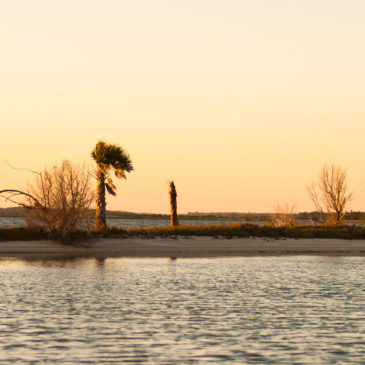 Orlando Gulps its Share of Water, Now Wants its Neighbors’ Share