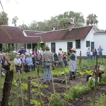 Florida Crackers; Culture Hangs on Despite Changing State