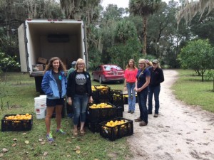 Volunteers came from the Marion County 4-H County Council, which tries to find projects that emphasize service, said  Margaret Carden, extension agent.  