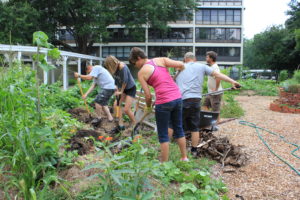 Joh Jessup, far right, instructs volunteers from all over Jacksonville how to create raised beds out of yard debris that will hold water and provide compost. (Photo: Lisa Grubba)