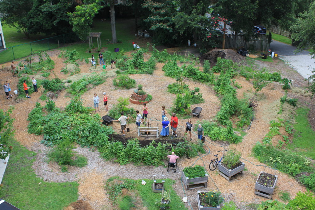 A small, wasted space became a productive garden by increasing elevation rather than planting row crops. Raised planters allow wheelchair-bound residents the chance to work in the garden. (Photo: Lisa Grubba)