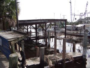 Horseshoe Beach still needs help clearing debris from the canals and marshes. (Photo: Karen Chadwick)