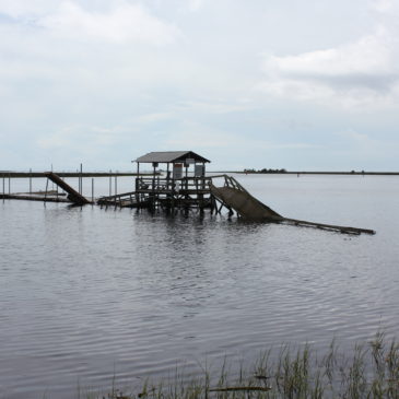 Hurricane Hermine Hits Small Town Florida Hard