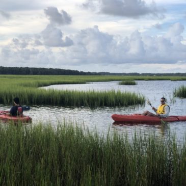 Wild Florida – Public Access to Area Waterways